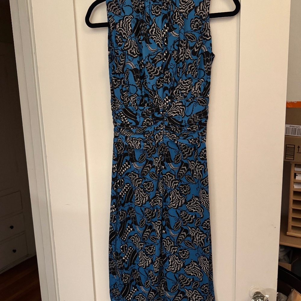 Nieves Lave/ Silk Dress/ Size 6